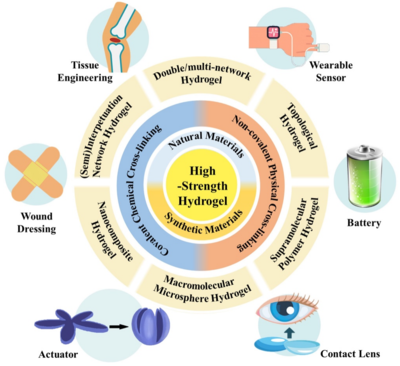 西工大黃河源、王文智/西安交大趙鑫 Nano Res.:高強度水凝膠的制備策略、增強機制與未來挑戰